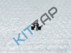 ������ ���������