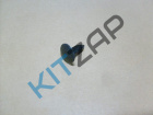 ������ ����� ���� ������
