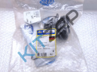 ������� ���� ���������� Sasic